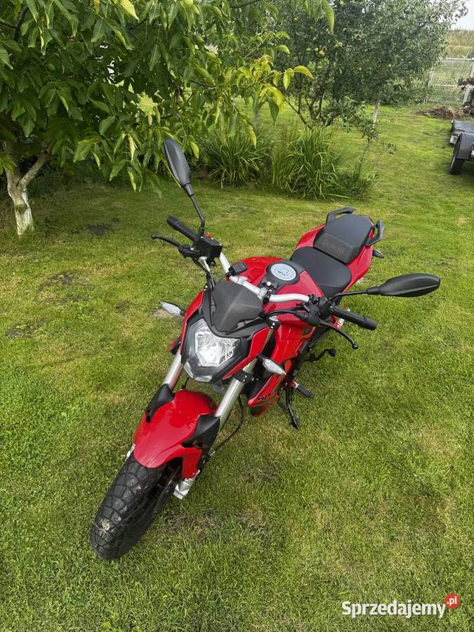 2020 BENELLI BN 125 Benelli Cedry Wielkie