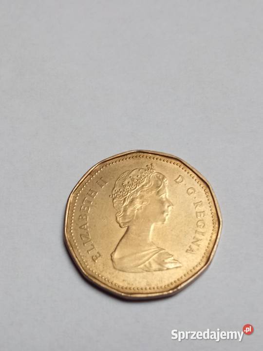 Canada 1 Dollar z 1987 dolnośląskie Świdnica sprzedam