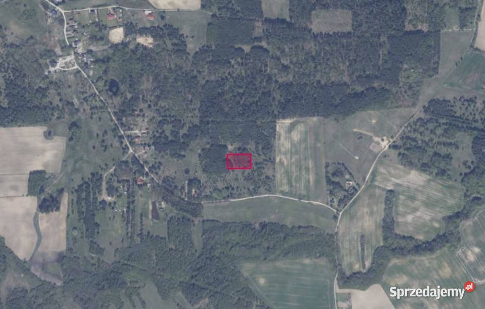 Działka 8615 w Granicznej Wsi Graniczna Wieś