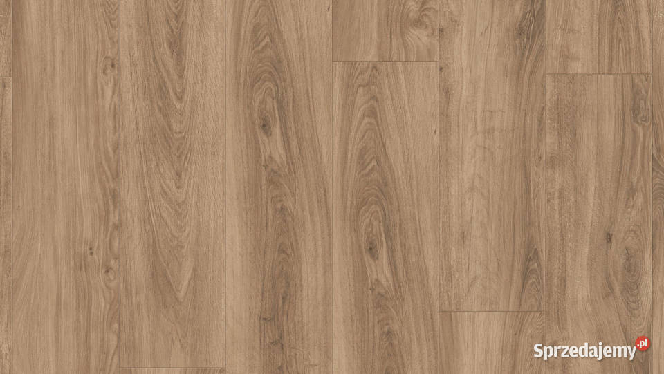 TARKETT Podłoga winylowa English Oak Natural Zielona Góra
