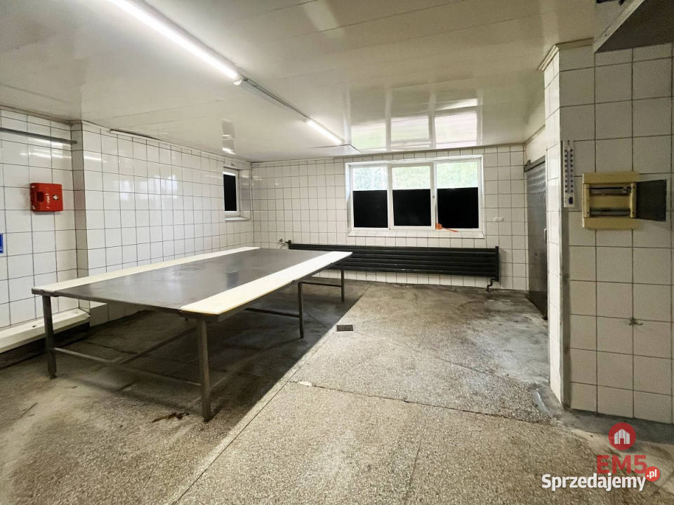 wynajmu lokalu Białystok 450m2 Ilość pomieszczeń 6