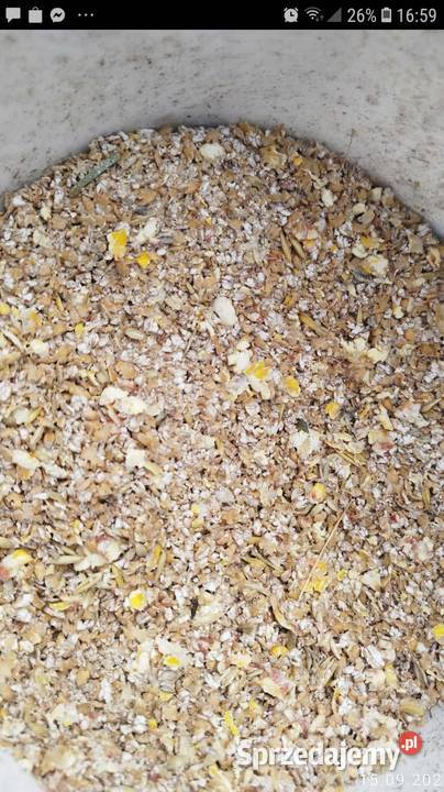 Ziarno gniecione cielaki kury króliki