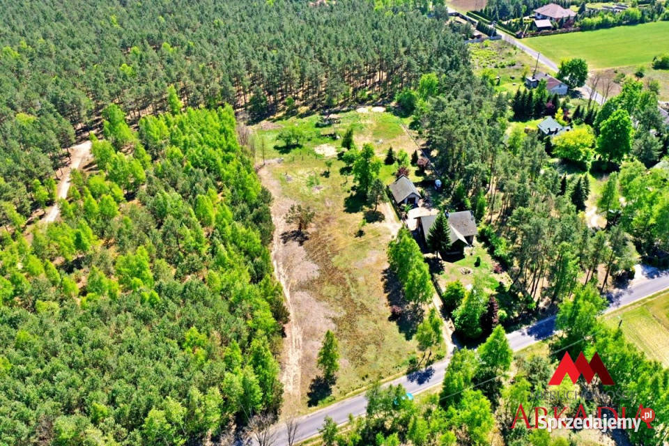 Ogłoszenie działka Kosinowo 1043m2