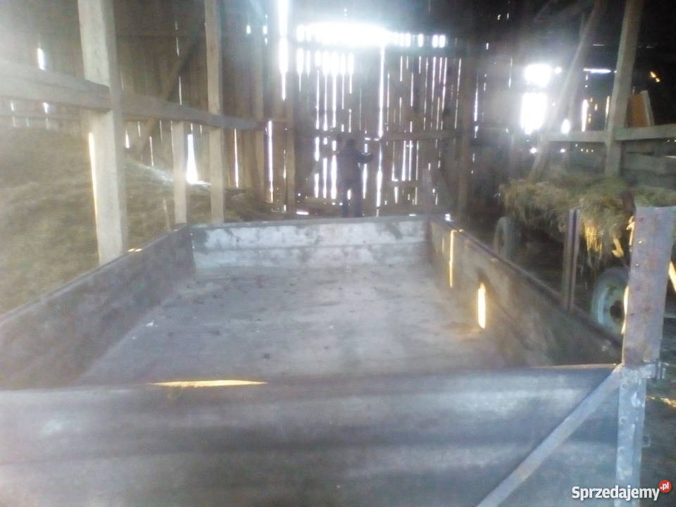 Przyczepa jedno osiowa nieuszkodzony Gierkiny sprzedam