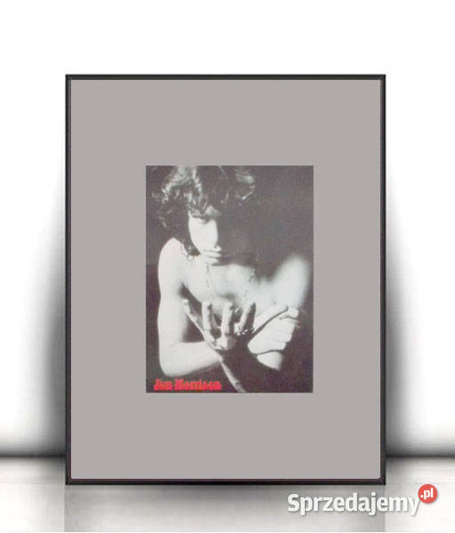 vintage the doors plakat A4 Jim Morrison plakat