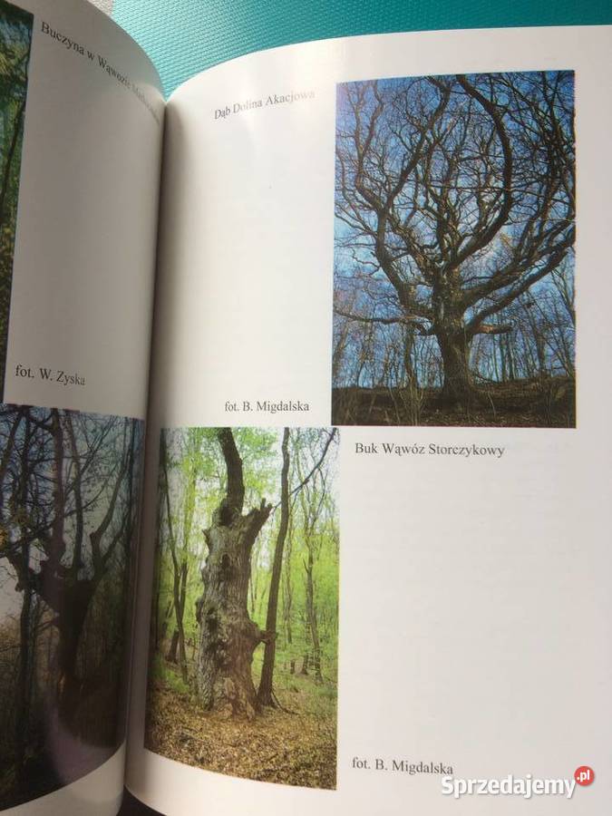 3428 Przewodnik Rezerwacie Przyrody Bielinek Szczecin