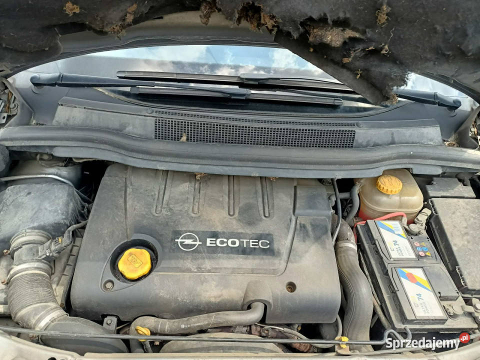 Opel Zafira Opel Zafira 19CDTI 101 06r 7os B małopolskie Tarnów