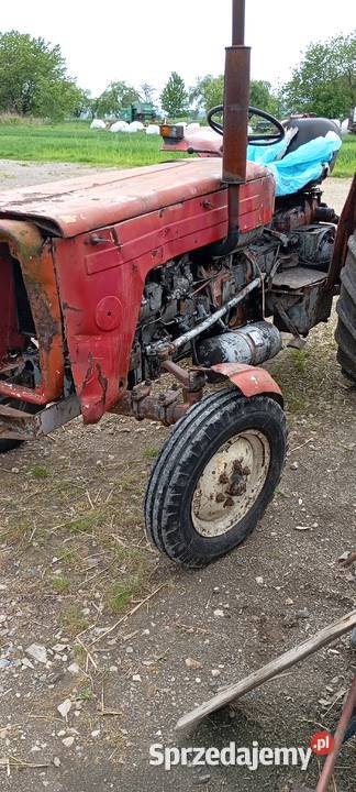 Ursus c355 Bodzentyn