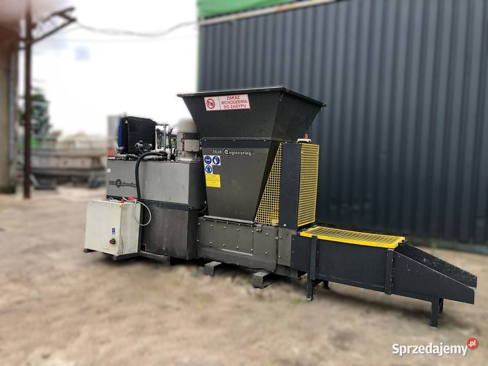 Belownica paczkarka Sośno