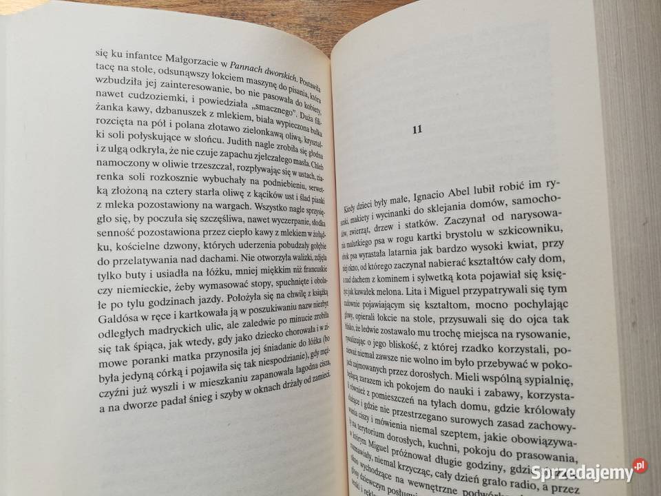 We mgle czasów Antonio Munoz Molina Kraków