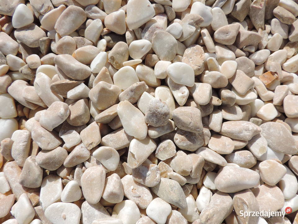 Grys Giallo Siena Kamień Żółty Otoczak Natural Andrychów