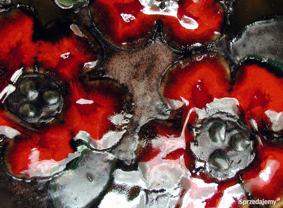 nikon 24mm warty obejrzenia podlaskie Białystok