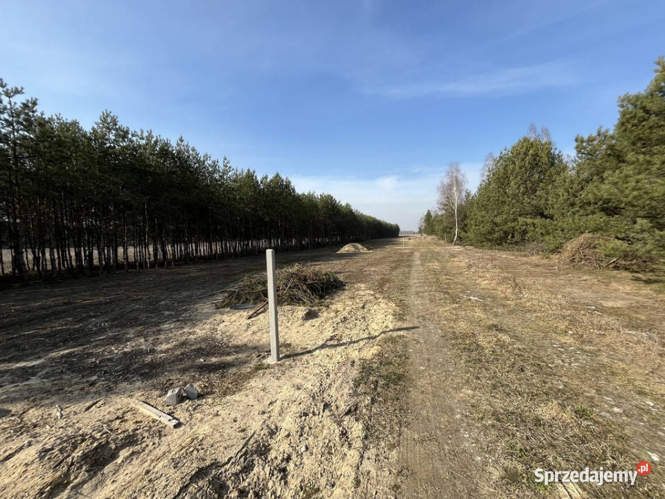 Działka z WZ w Wólce Gonciarskiej gm Kazanów Wólka Gonciarska