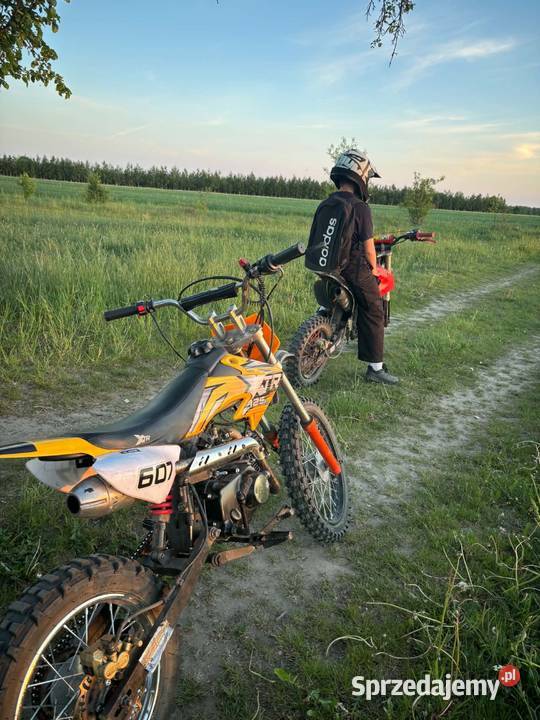 Xtr 125 zainteresowani śmiało pisać Modrzew