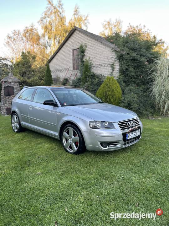 Audi A3 8P Pawłowo Kościelne