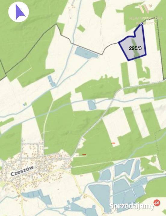 Działka rolna las Czeszów gmina Zawonia 20zł/m2