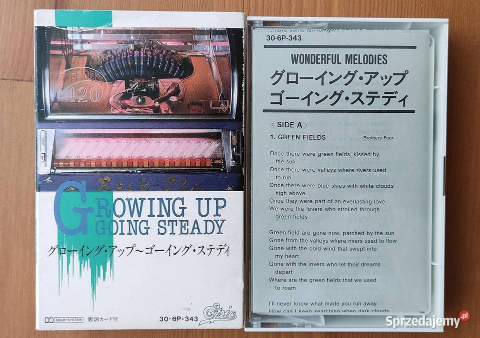 Wonderful Melodies Growing Up Going Steady Płyty i kasety Bochnia