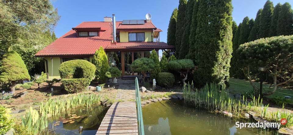 Usługi leśno ogrodnicze łódzkie Kurnędz ogród