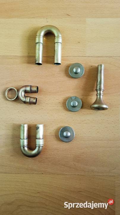 Trąbka skrzydlowa Kraków