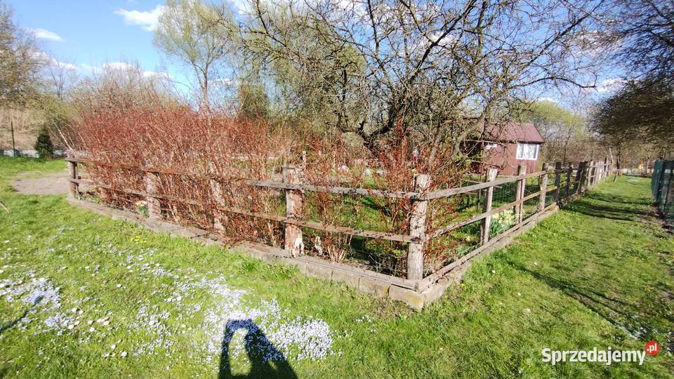 Działka ROD Kalina Zawilcowa Lublin