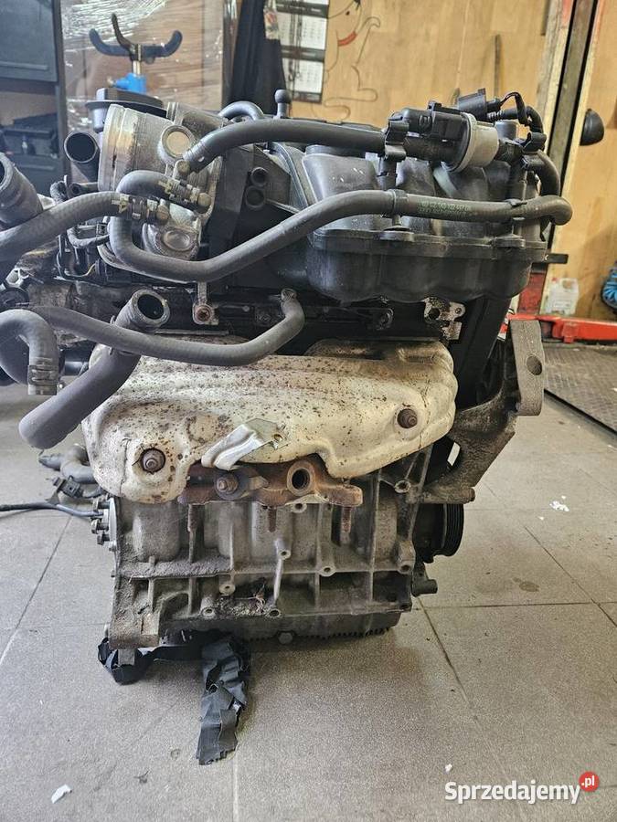 Silnik 16 BSE sprzedam