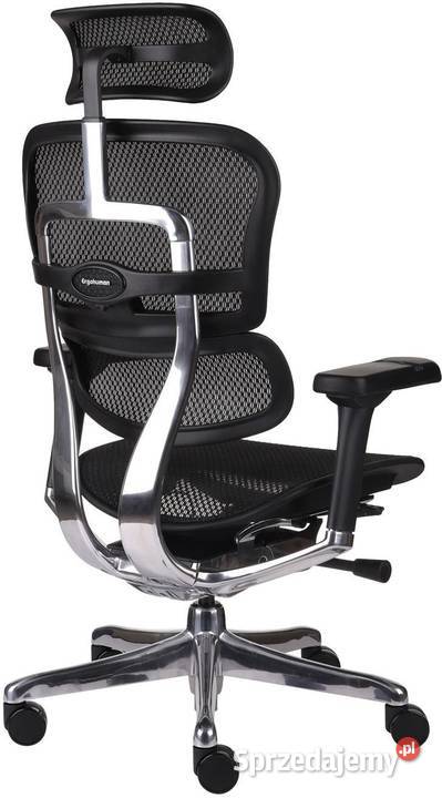 Fotel biurowy ergonomiczny Ergohuman Elite 2 BS Biuro Bielsko-Biała