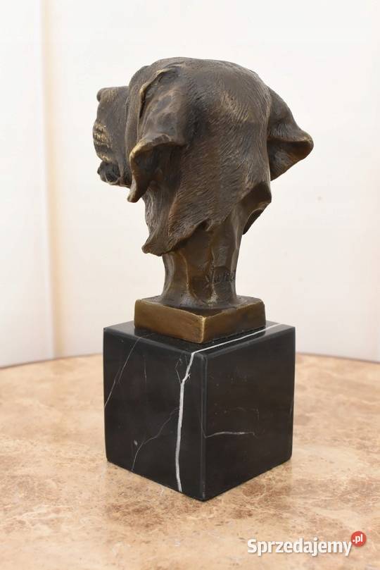 Głowa Pysk Psa Labrador Golden Retriever Figura małopolskie Kraków