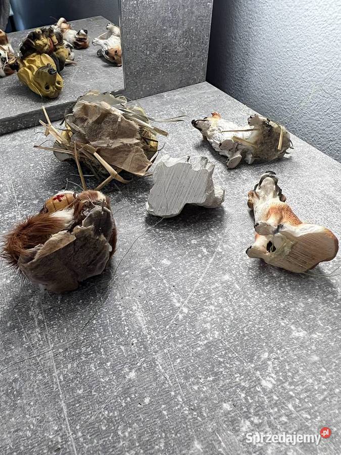 Zestaw 5 figurek zwierzątek piesków psy figury Jasło sprzedam