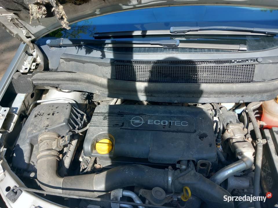 Opel zafira wielkopolskie Leszno
