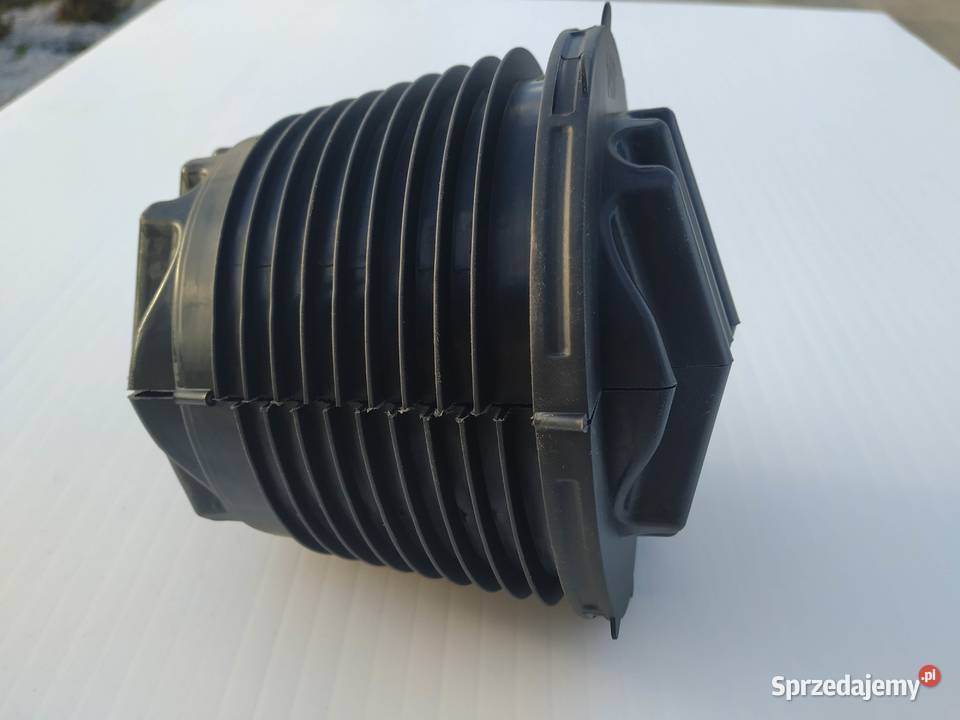 Dławnica czopowaGniazdowy wkład uszczelniający wielkopolskie Swarzędz