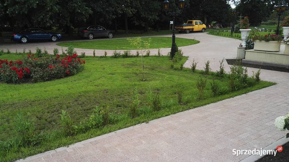 Czerwona kostka Brukowa Granitowa cięta Marki