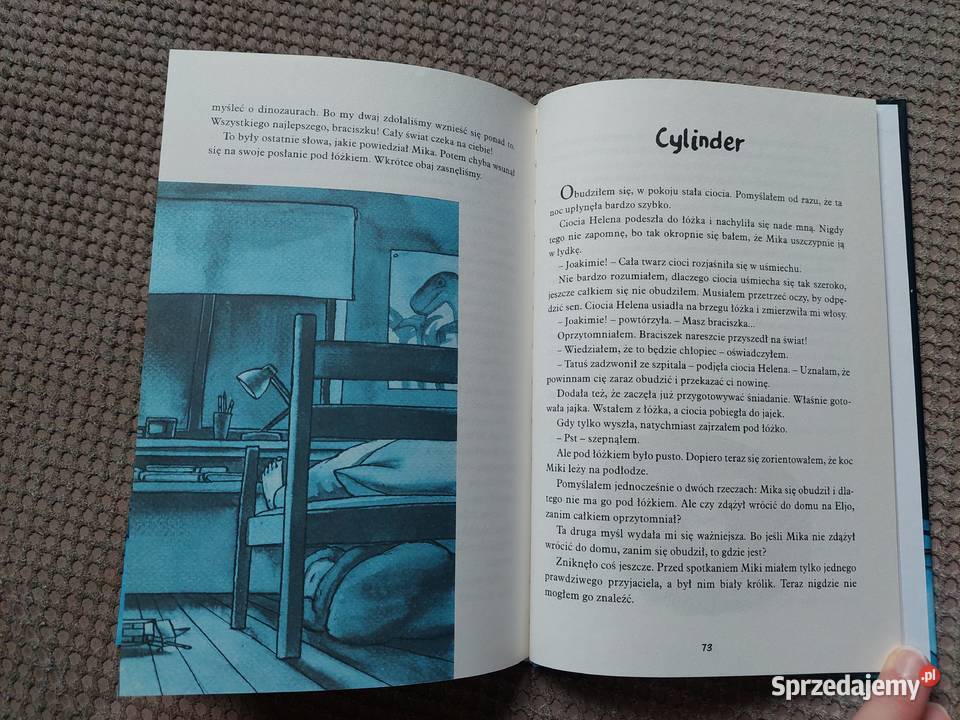 nowa Hej czy jest tu kto Jostein Gaarder ISBN 9788389763761 Kraków