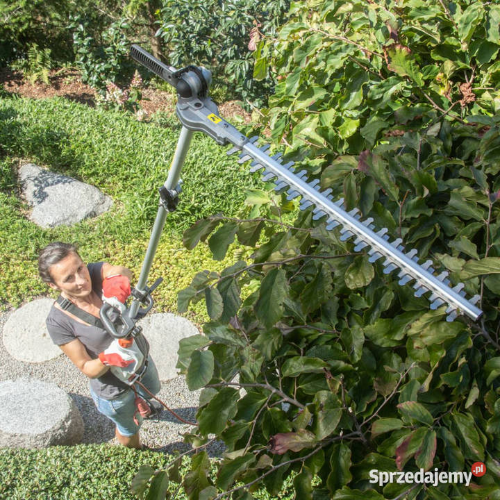 IKRA ITHK 1000 IECH 1000 PIŁA PILARKA ŁAŃCUCHOWA Dom i Ogród Opalenica