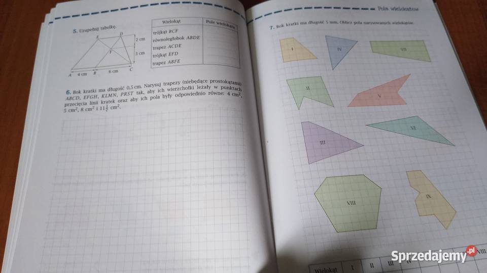 Matematyka z plusem 6 Ćwiczenia Geometria Wersja pomorskie Gdańsk