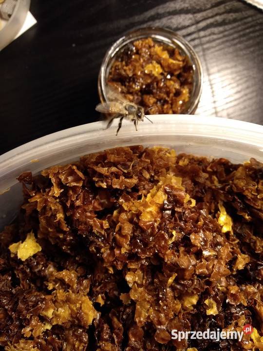 Plaster miodu Miód w plastrach Miód żywyj Ramka