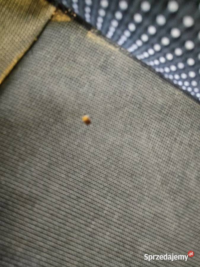 Fotel Pasażera Prawy Przód Ford C II Mk2 wielkopolskie Pleszew sprzedam