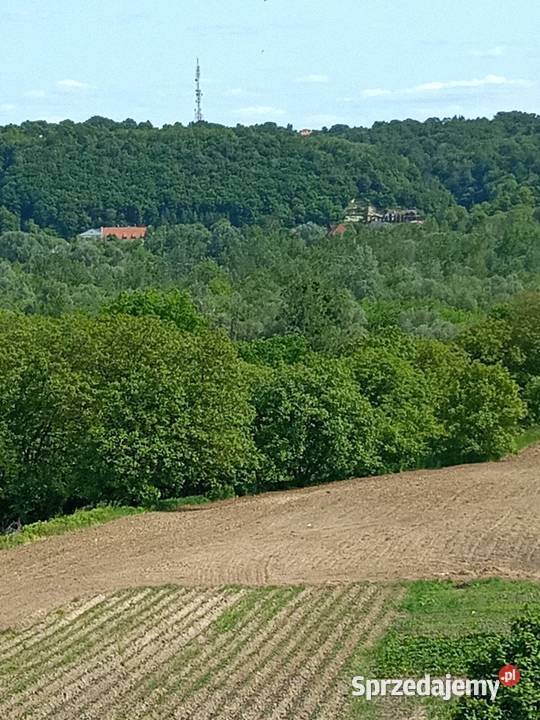 Działka 3ha widok Kazimierz dolny 350m Sprzedaż lubelskie Wojszyn