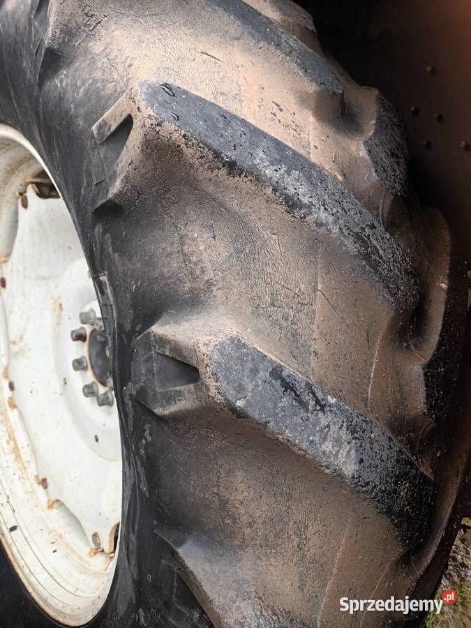 Pirelli 52070 R38 Teratyn