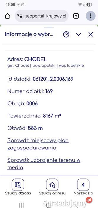 Sprzedam las w Chodlu Sprzedaż sprzedam