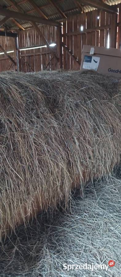 Siano luzem Karmy i pasze