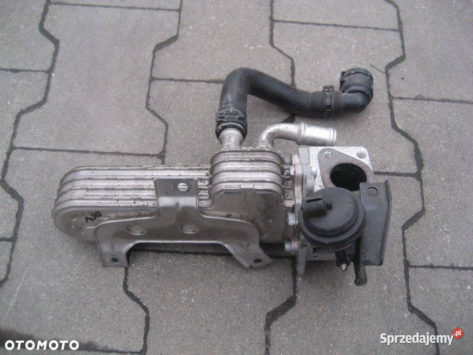 AUDI VW SKODA SEAT 19 CHŁODNICZKA EGR osobowe Rakoniewice