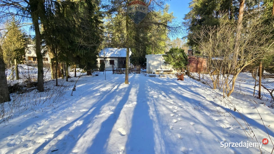 Działka zabudowana Zalesie Górne Kwiat Paproci