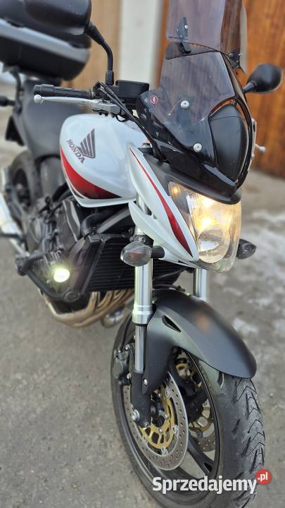 honda hornet 600 nieuszkodzony
