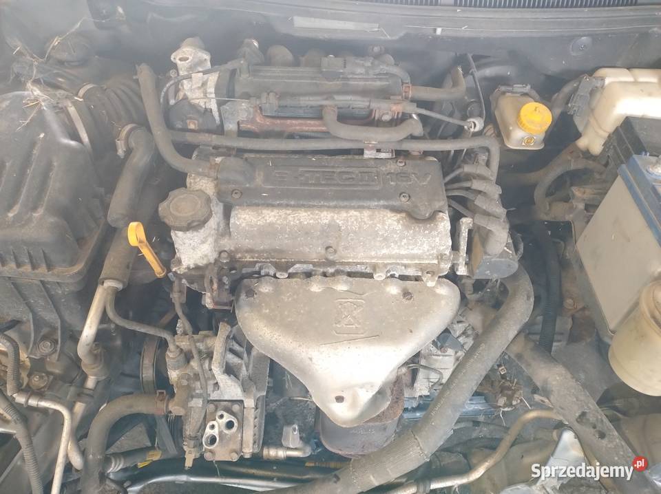 Chevrolet Aveo 2010 r T 255 12 B 77 Części Elbląg sprzedam