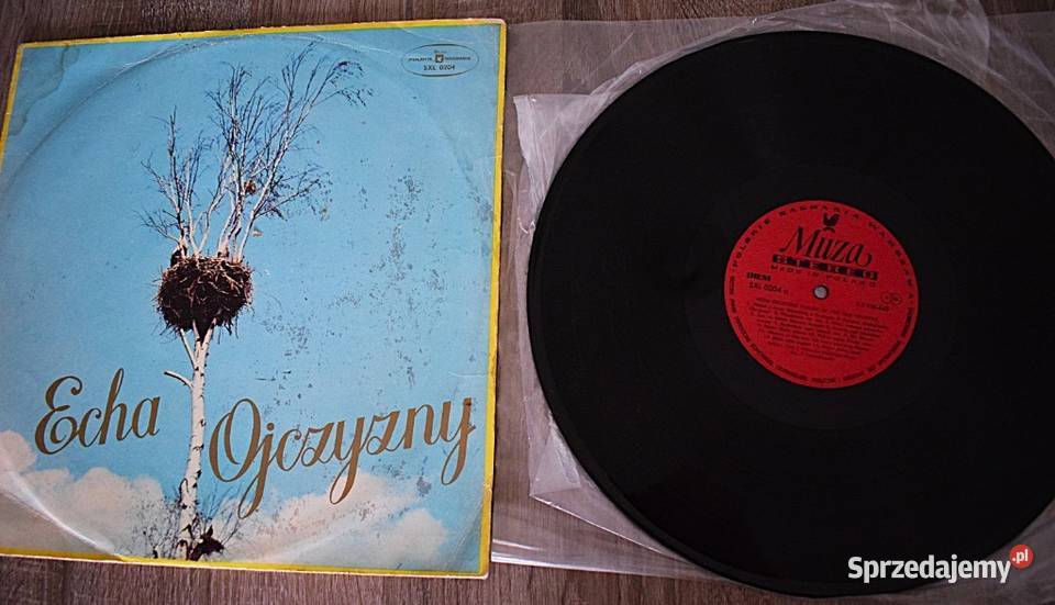 Zielone lata Ładyszowie 1976płyta w stanie Chełmno sprzedam