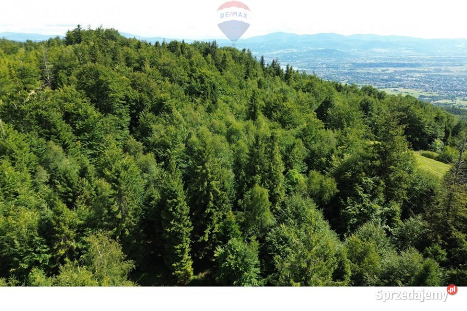 Działka na szczycie Magurki Wilkowickiej budowlana