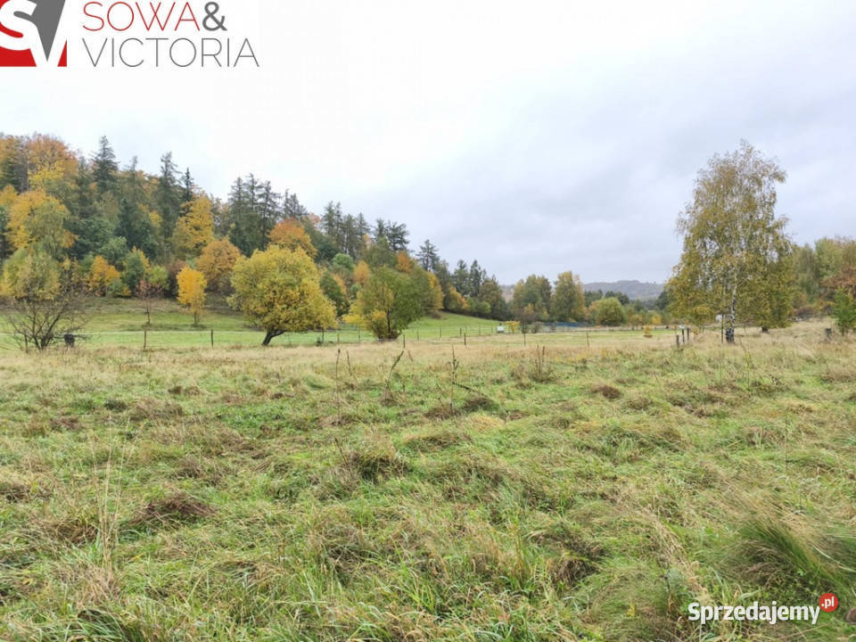 Działka lesie w sąsiedztwie zalewu Stare Bogaczowice