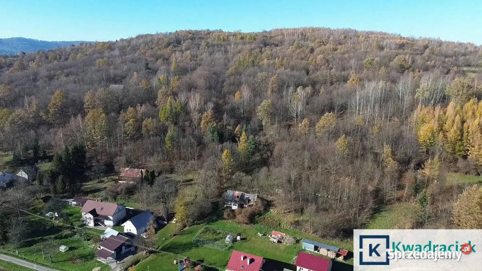 sprzedaży domu wolnostojącego Głojsce 90m2 podkarpackie