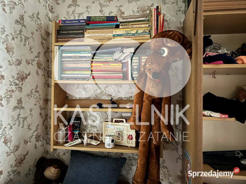 Wywóz mebli z mieszkań Radlin Kastelnik