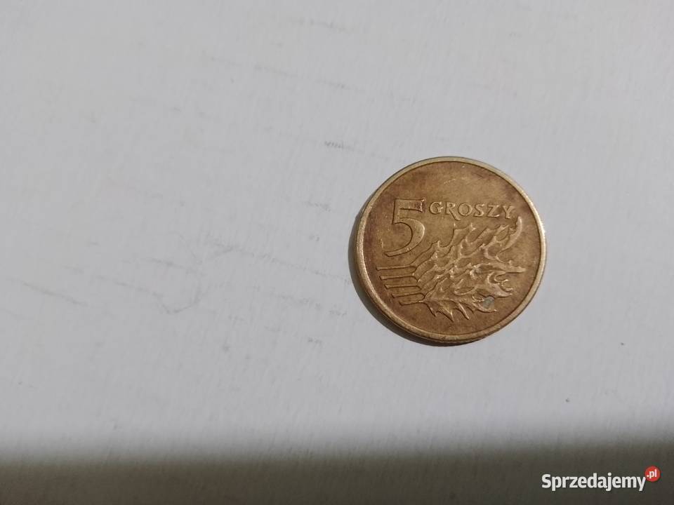 Moneta 5gr groszy z 1991 roku 1 Świdnik